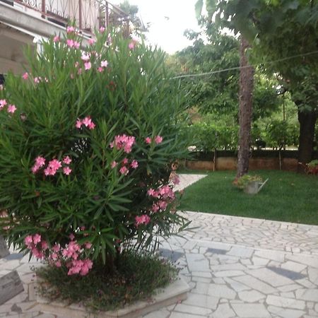 Vila Alma Poreč Buitenkant foto