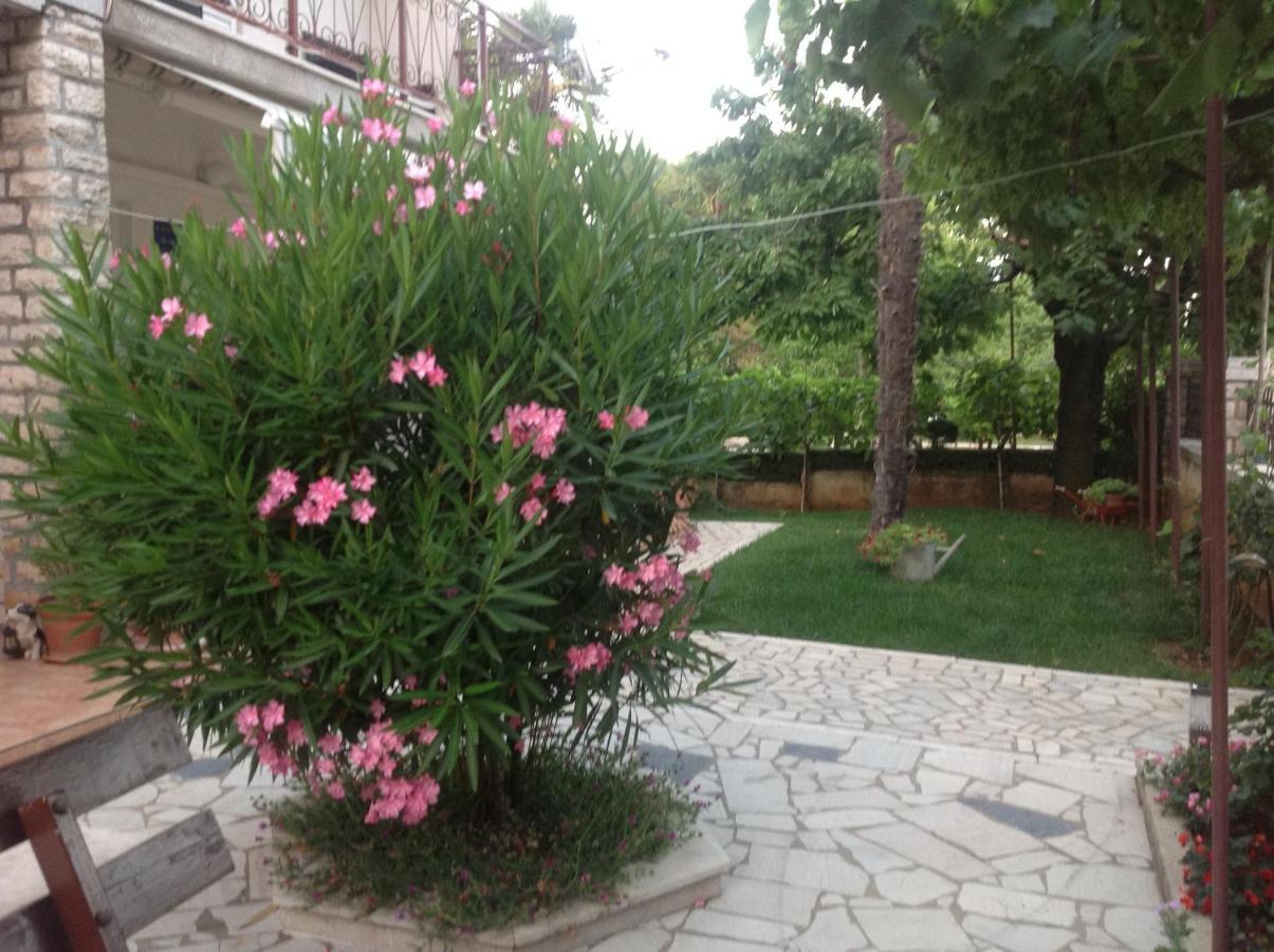 Vila Alma Poreč Buitenkant foto